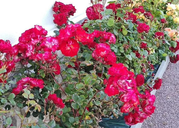 Vue Sur Gold Asnelles