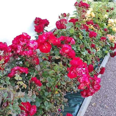 Sea View Villa, Refurbished Interior Asnelles